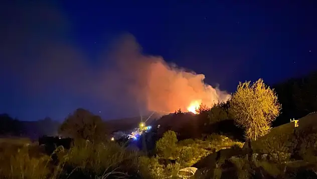 Antalya'da Ormanlık Alanda Yangın Çıktı
