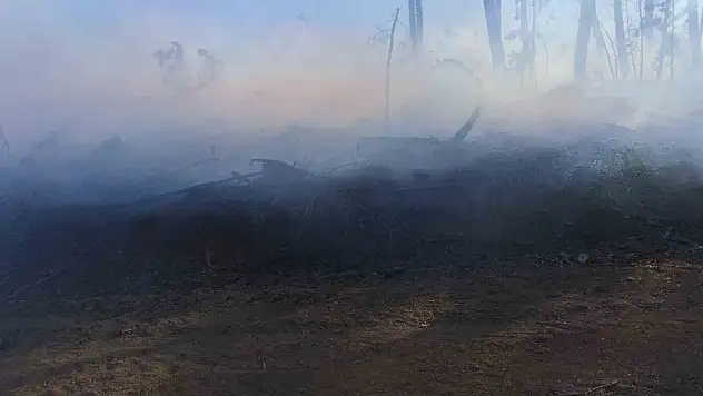Araç yangını ormanlık alana sıçradı, ekipler alevleri büyümeden söndürdü