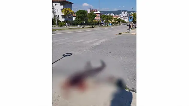 Aracında otururken bıçaklandı
