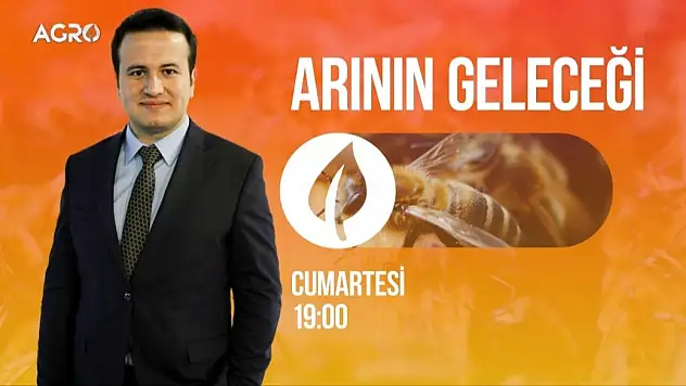 Arı Ölümlerinin Sebebini Açıkladı