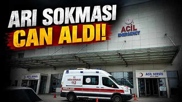 Arı Sokması Can Aldı!