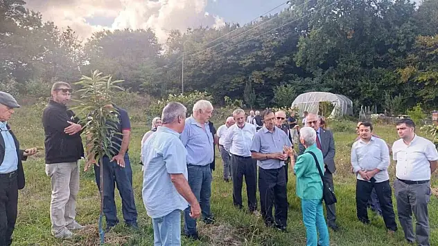 Kestane Balının Geleceğini Konuştular