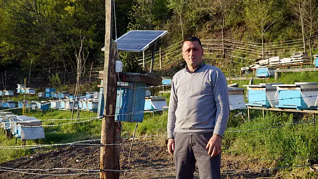 Arıları, ayılardan korumak için nöbete başladılar