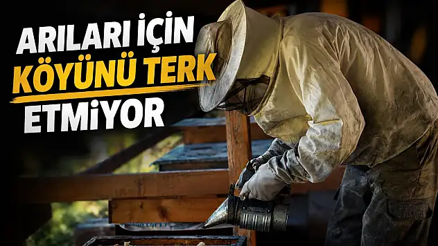 Arıları İçin Köyünü Terk Etmiyor