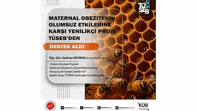 Arıların Mucizesi Propolis, TÜSEB'den Destek Aldı