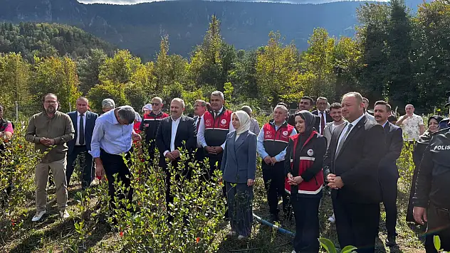 Aronya Hasadı Yapıldı