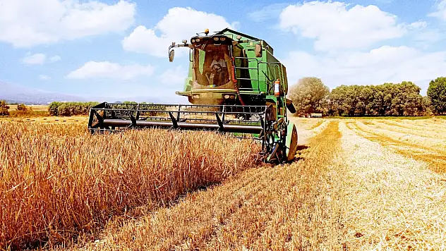 Arpa hasadı başladı