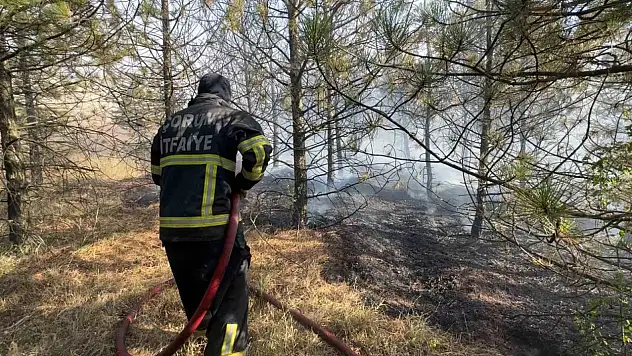 Artan sıcaklıklarda yangınlara karşı hayati uyarı: Yüzde 90'dan fazlası insan kaynaklı