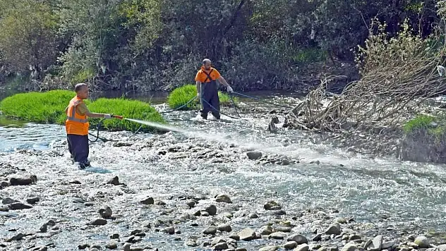 Artan sivrisineklere karşı ilaçlama yapılıyor