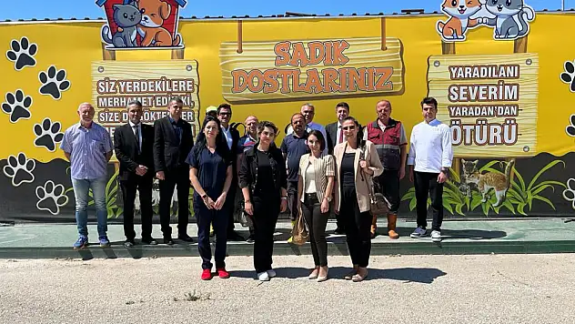Artan yemekler sokak hayvanlarına bırakılıyor