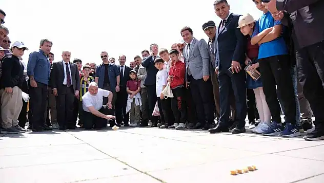 Asırlık Çiğdem Aşı Geleneği Çorum'da Yaşatılıyor
