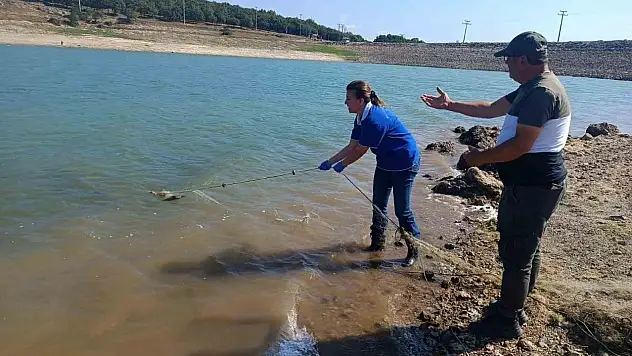 Av Yasağı Kalktı: Gölde Kaçak Ağ Bulundu