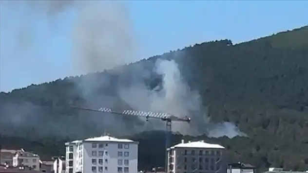 Aydos Ormanı'nda Yangın Çıktı