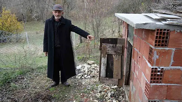 Ayı Tavukları Telef Etti