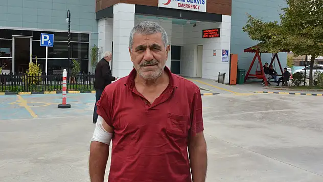 Ayıdan Kaçarken Düşen Çiftçi Yaralandı