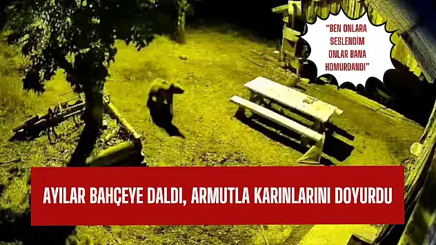 Ayılar bahçeye daldı, armutları yedi ve bahçeden ayrıldı