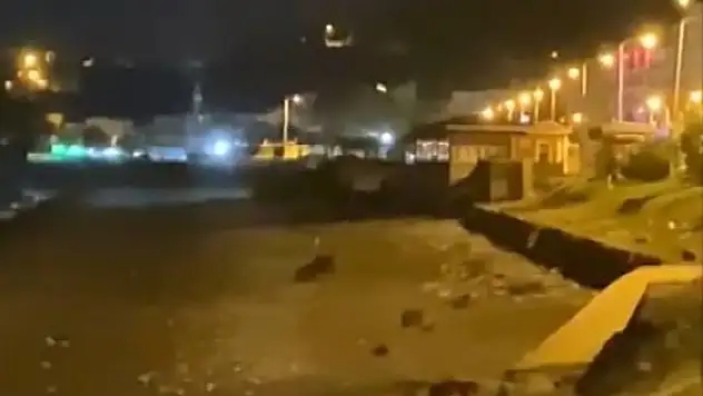 Ayılar sahile indi
