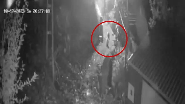 Ayıları torpil atarak korkuttular