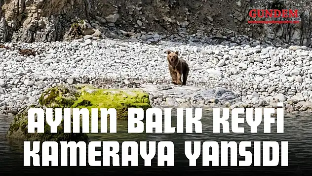 Ayının Balık Keyfi Kameraya Yansıdı