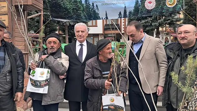 Azdavay'da 2 Bin 600 Fidan Dağıtıldı