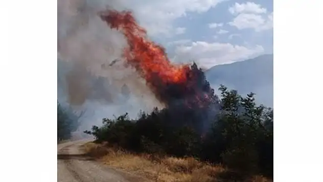 Baca yangını korkuttu