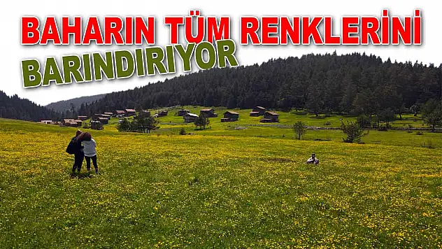 Baharın Tüm Renklerini Barındırıyor