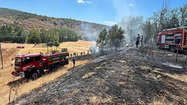 Bahçe Yangını Evlere Sıçramadan Söndürüldü