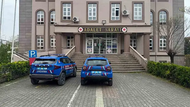 Bahçeye kenevir ekti, ihbarla yakalandı