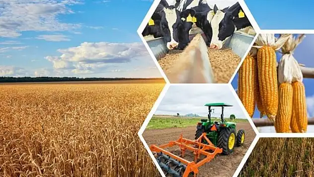 Bakanlık'tan 5,5 milyar liralık destek