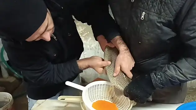 Balık Sağımını Kontrol Ettiler