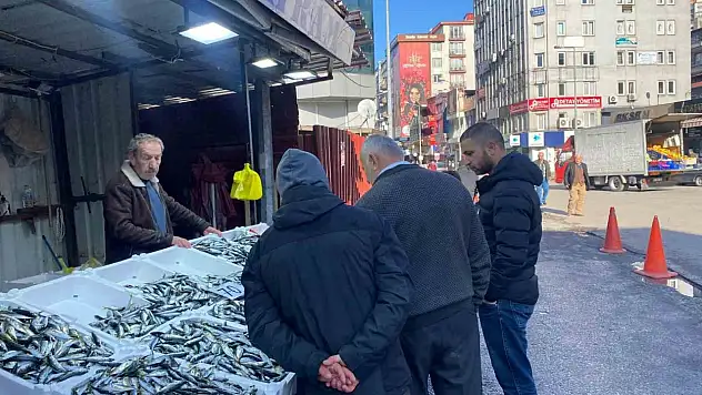 Balık Tezgahlarında İstavrit Bolluğu Yaşanıyor