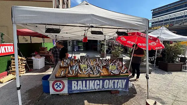 Balıkçı esnafından yeni sezon müjdesi, 'Bu sene denizden balık fışkıracak'