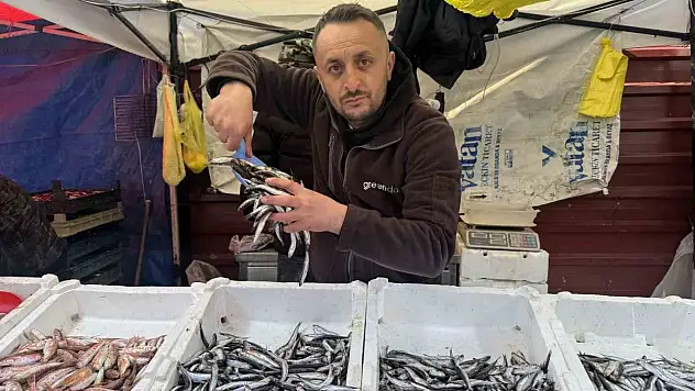Zonguldak'ta Balık Fiyatları Arttı