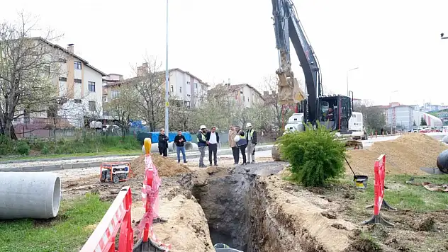 Baltacı Çalışmaları Yerinde İnceledi