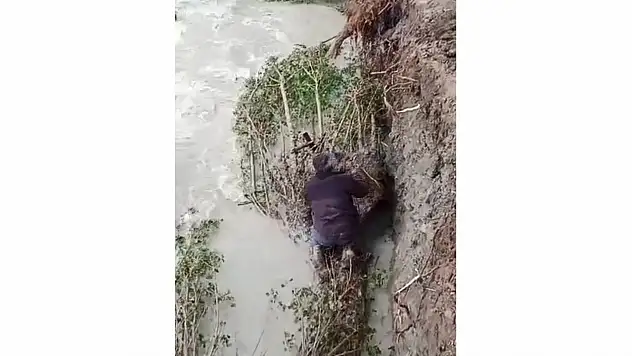 Barajı tıkayan ağaçları temizlediler
