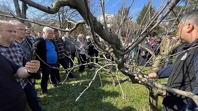 Bartın'da Çiftçilere Uygulamalı Budama Eğitimi