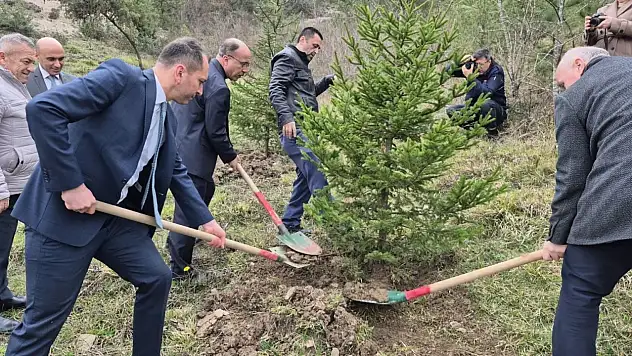 Bartın'da Hükümlüler Fidan Dikti