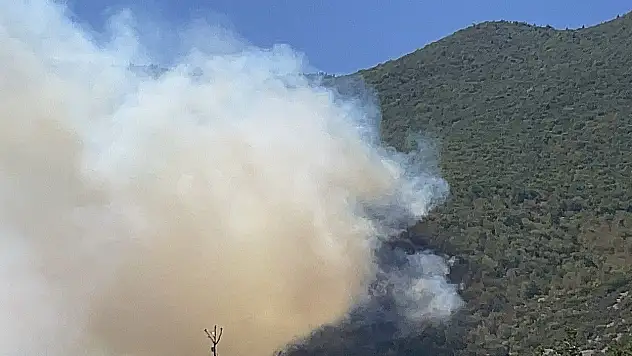 Bartın'da Orman Yangını Çıktı