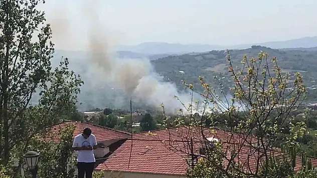 Bartın'da Peş Peşe Yangınlar Çıktı