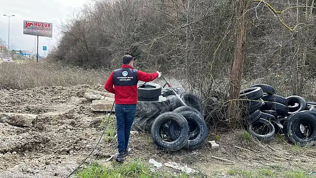Bartın'da Sivrisinekle Mücadele Çalışmaları Sürüyor