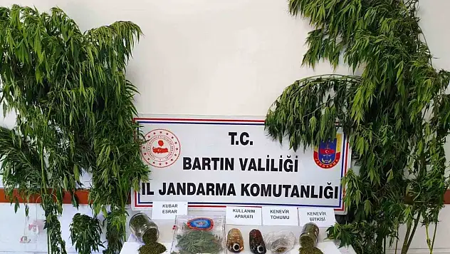Bartın'da uyuşturucu operasyonu: 1 gözaltı
