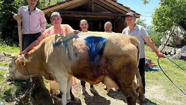 Bartın'da Yüz Binde Bir Görülen Olay