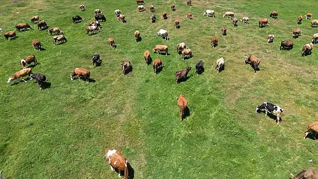 Başvuru İçin Son 3 Gün