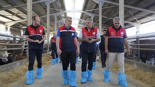 Besi Hayvancılığı İşletmesine Ziyaret