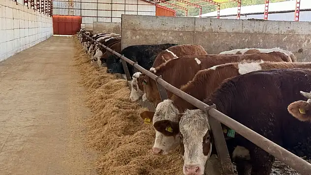 Besi İşletmesine Ziyaret Gerçekleştirildi