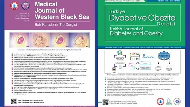 O Dergilerin Yeni Sayıları Yayımlandı
