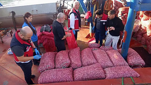 Beyaz Kum Midyesi Avcılığına Sıkı Denetim