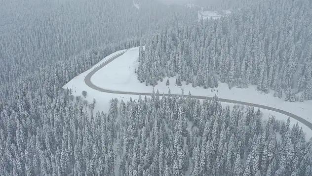 Beyaza Bürünen Ormanlar Dronla Görüntülendi