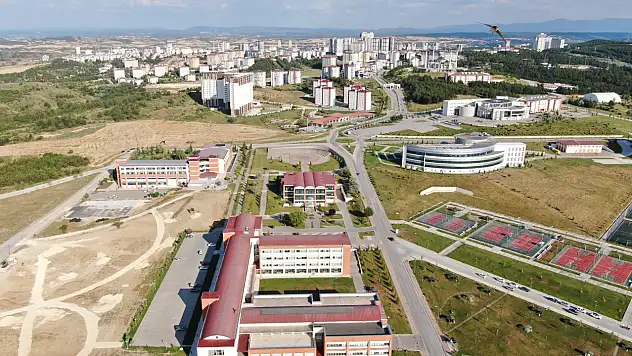 Bezelye Kabuğundan Patentli Buluş