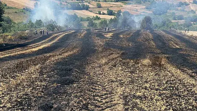 Biçerdöverden Sıçrayan Kıvılcım Yangına Yol Açtı
